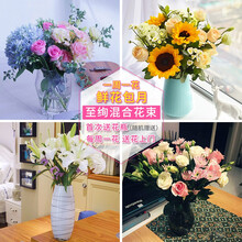 每月鲜花价格报价行情 京东