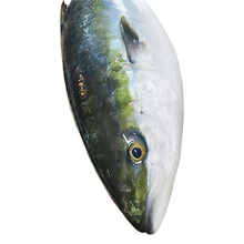 鰤鱼刺身价格报价行情 京东