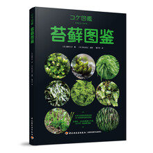 景观植物种类价格报价行情 京东 景观植物种类价格报价行情 京东