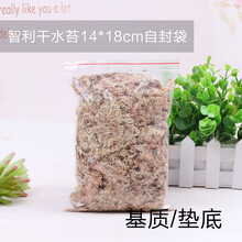 水苔种多肉新款 水苔种多肉年新款 京东