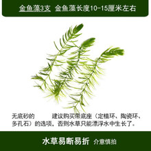 养金鱼水草排行 京东