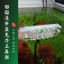 固定水草图片 京东