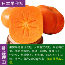 富有甜柿价格报价行情 京东