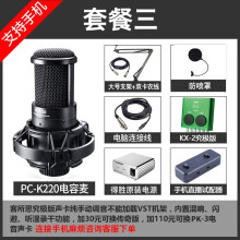 得胜（TAKSTAR）  悬挂式 麦克风 K220+客所思究极版套装