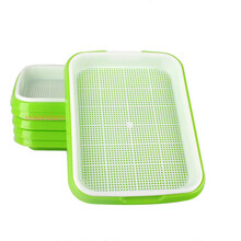 青水培小松菜图片 京东