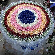 5月7日生日花价格图片精选 京东