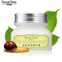 cedar,cedar,tree,怎么样,香柏树,tree,补水,香柏树