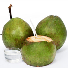 博多客 海南青椰子 超甜多汁 新鲜水果 可吃椰肉 绿皮椰 椰青大椰子 5