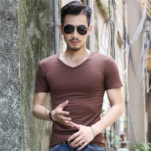 洛凌 短袖 男士T恤 V领咖啡色 S，XL，L，M