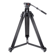 贝阳云台价格报价行情 京东