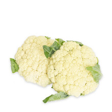 白菜花品牌及商品 京东