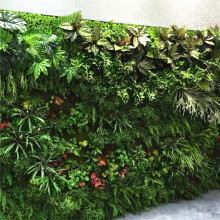 室内植物装饰墙