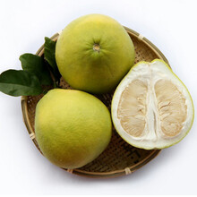 沙田柚英语图片 京东