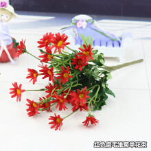 仿真,仿真,排名,花卉,花卉,排行榜,推荐