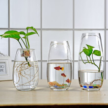 鱼缸玻璃花瓶花艺