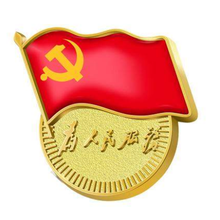 标准型党徽为人民服务 磁扣 别针式 蝴蝶扣 新版党员胸章高档胸徽徽章
