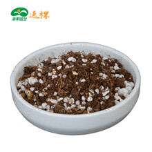 多肉植物培养土图片 京东 多肉植物培养土图片 京东