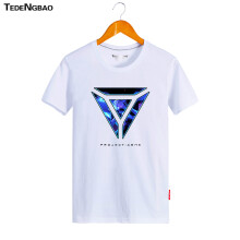 特登堡（TEDENGBAO） 短袖 男士T恤 8艾希白 XXXL