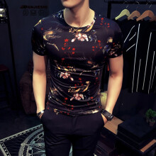 丹杰仕（DANG JIE SHI） 短袖 男士T恤 T531款号 M