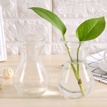 玻璃植物水养花瓶