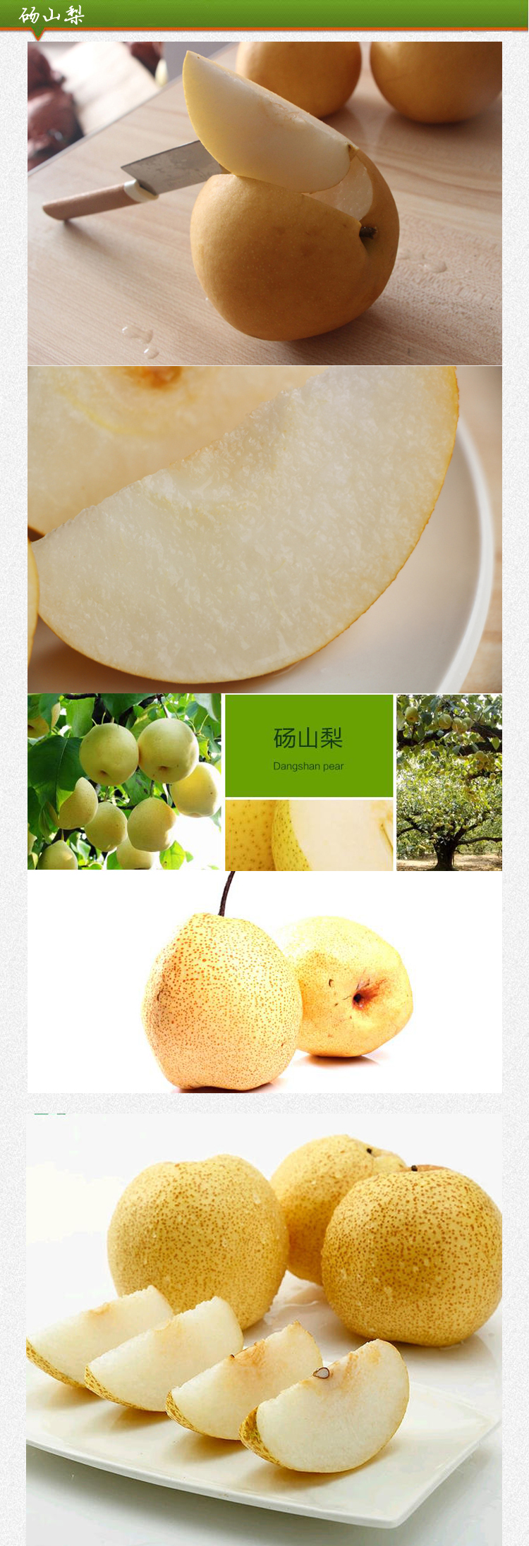 大个 砀山梨 1个 约500g/份