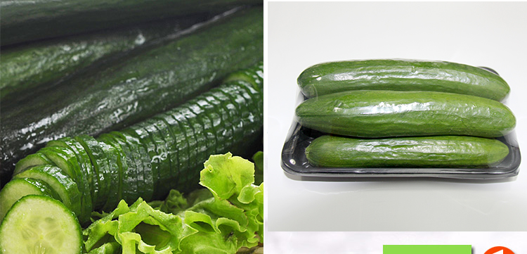 (水果黄瓜)日本小青瓜 约500g/份