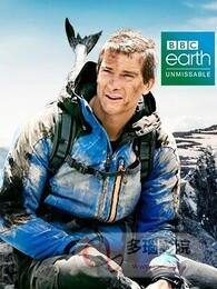 贝爷的英国大冒险