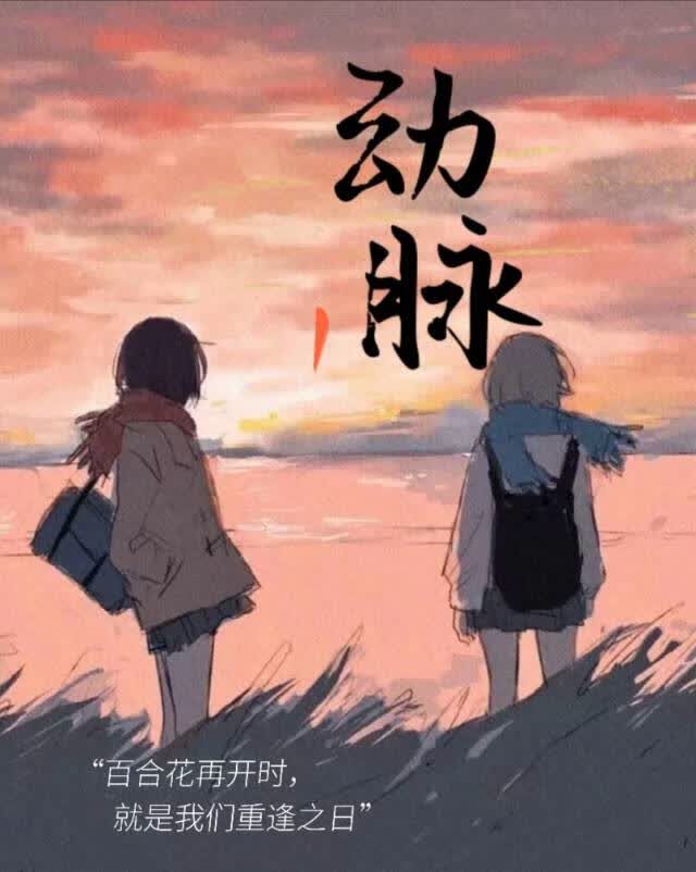动脉