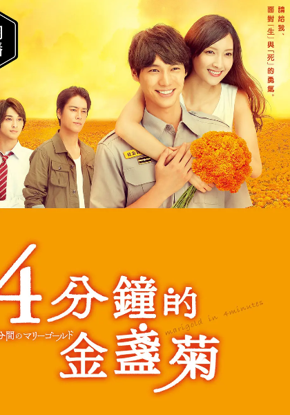 四分钟的金盏菊