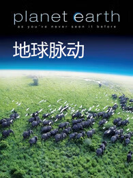 地球脉动 第一季