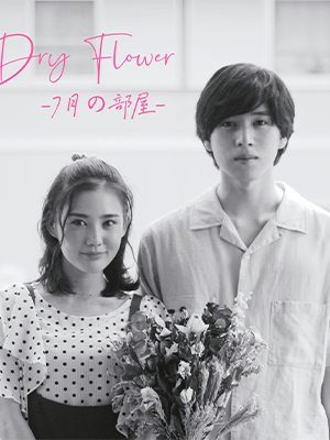 Dry Flower-七月的房间