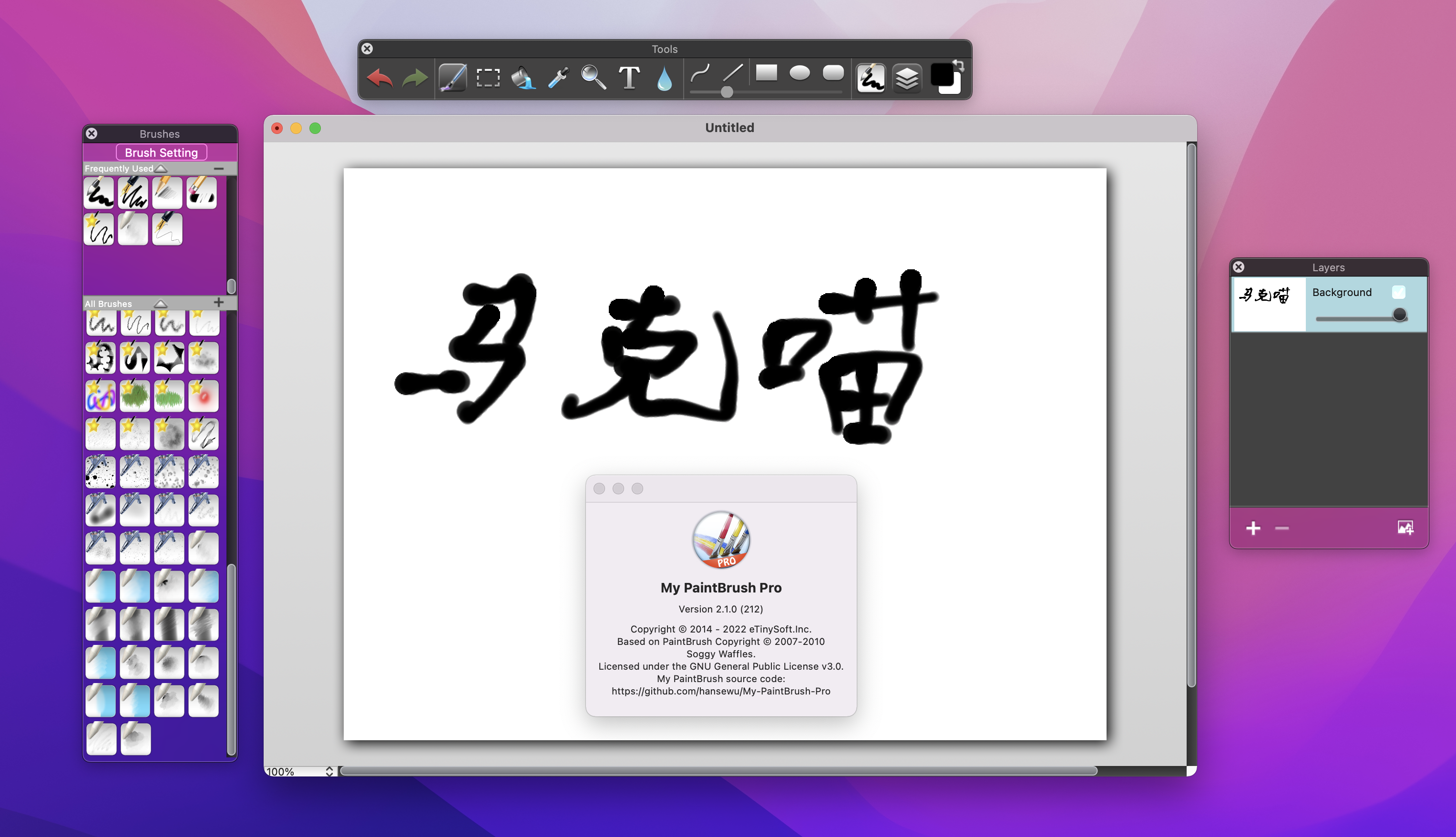 My PaintBrush Pro专业版for mac v2.4.2 英文激活版 mac绘图软件