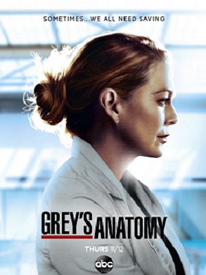 实习医生格蕾第17季