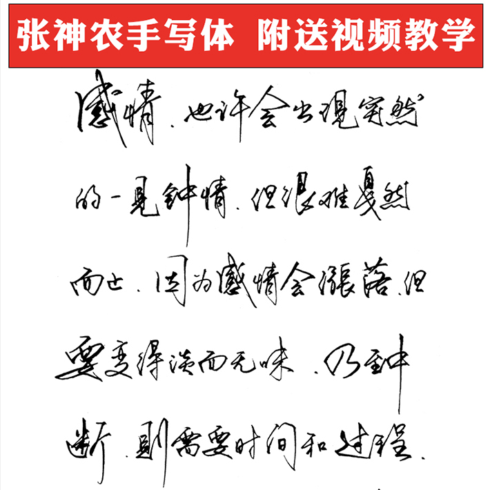 张神农钢笔练字帖成人手写体行书钢笔字帖手写描红临摹字帖女生连笔