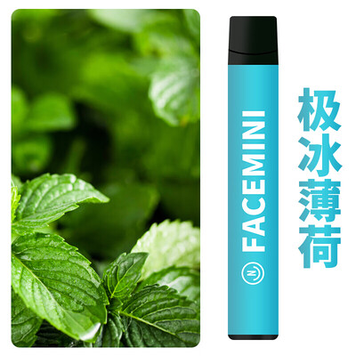 电子能量雾化棒电子式吸烟控烟替烟可充电长期循环使用水果味吸入式