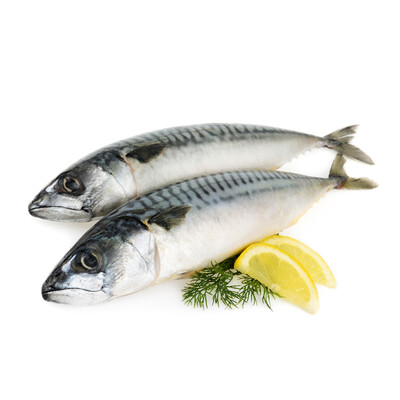 【冰岛青花鱼鲭鱼】野生进口无激素 纯净海域生长 顺丰-18℃冷运到家