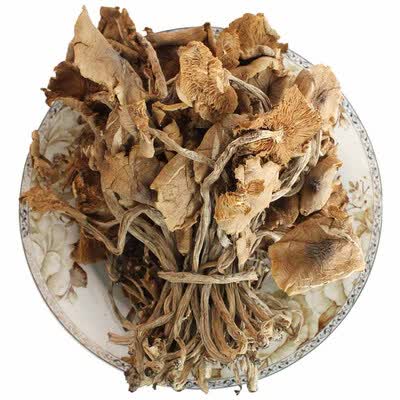 阳农汇鲜广东阳山农家土特产干货茶树菇100g