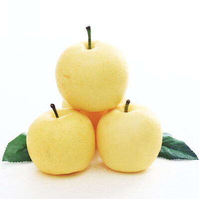 依禾农庄 秋白梨皇冠梨 2.5kg 新鲜水果