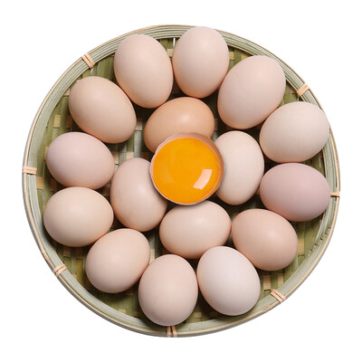 生鲜美食 土鸡蛋 鄱湖晨晖有机黄壳土鸡蛋30枚新鲜 山林地散养柴鸡蛋