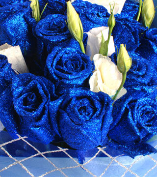 蓝色森林 12枝蓝玫瑰 鲜花 七夕情人节