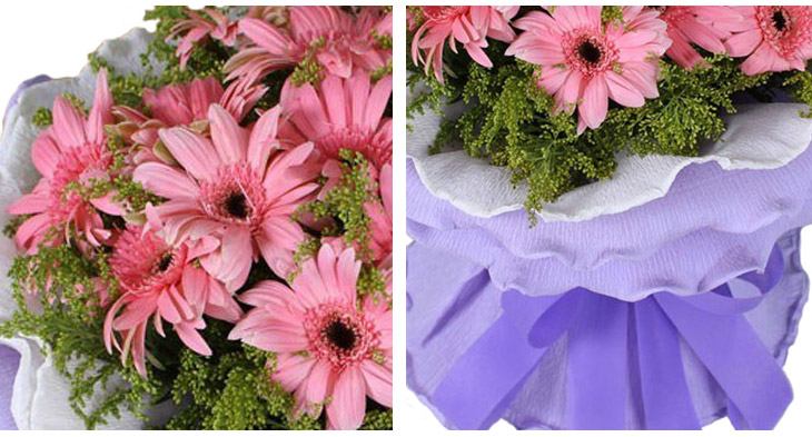 鲜花速递 太阳花 粉色扶郎花 生日快递 父亲 16枝六