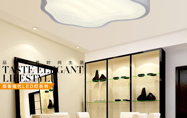 简普LED吸顶灯客厅卧室灯饰灯具Y8182 单头黑色 中号无极调光