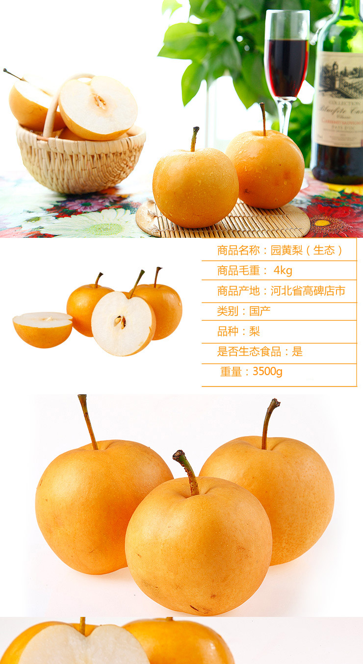 【河北馆】新鲜上市 有机种植 原生态 韩国品种圆黄梨 新鲜水果 12个