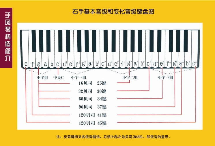 手风琴120贝斯标音图解图片