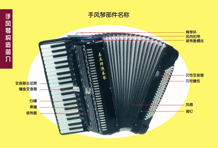 供应姜杰手风琴 120贝司 205自由低音