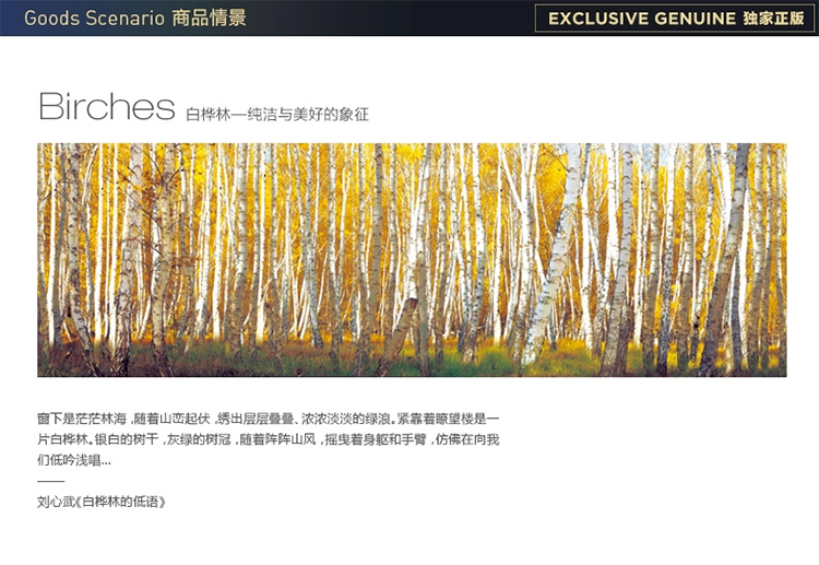 
                                        星川 装饰画客厅有框壁画印象风景走廊玄关挂画墙画 白桦林长版 象牙白外框 110*45                