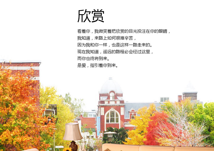 
                                                            易普美家 地毯客厅茶几卧室床边毯布艺欧式环保美式地中海田园薄 ED020 1200MM*1800MM                
