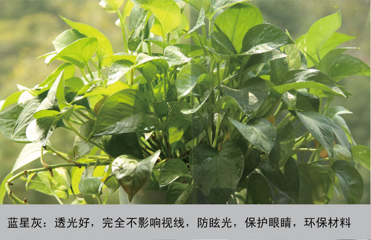 
                                        正奥（zeal） 正奥玻璃贴膜玻璃隔热膜阳台卧室玻璃隔热防晒膜太阳膜窗户防紫外线玻璃贴膜 1米宽/米                