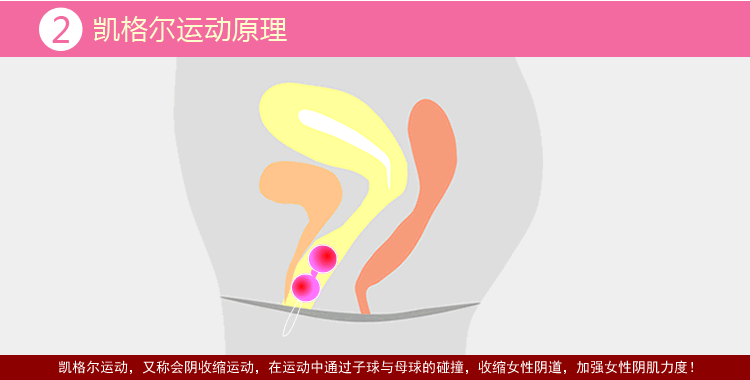 主体 类别 其他 适用人群 女性系列                      暂无