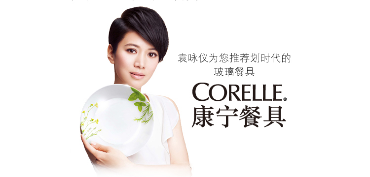 美国进口康宁餐具套装欧洲香草20-LV 20-EC 20-RS 20-EH 碗盘套装 玫瑰 22-RS